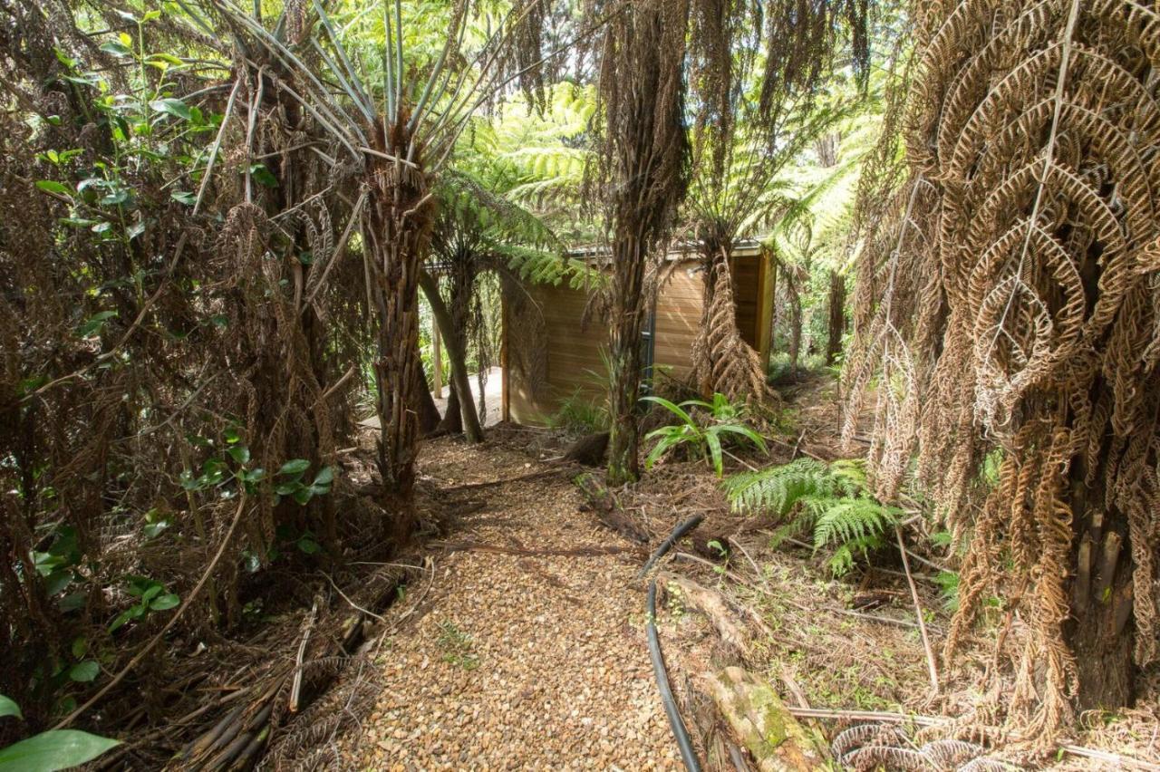Karaka Sanctuary With Spa Pool By Waiheke Unlimited Oneroa Room photo